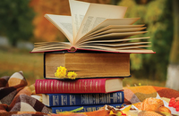 Stacks of books on a picnic blanket